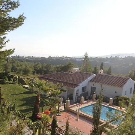 Quinto Pino