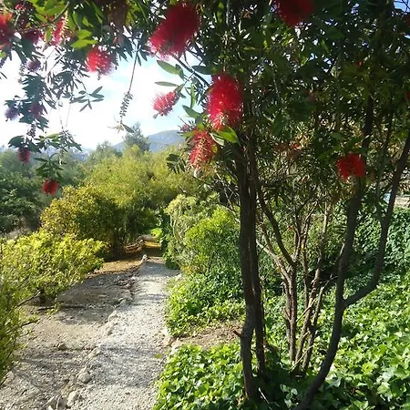 Holiday home Quinto Pino